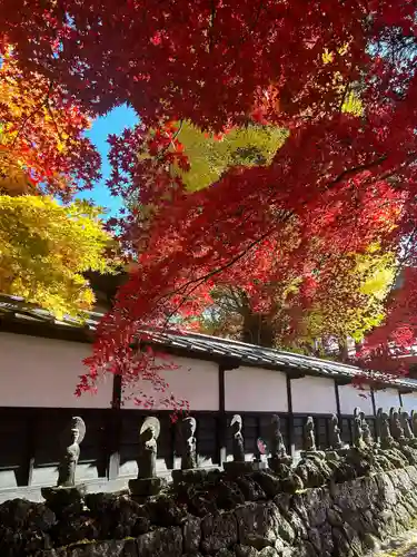 長圓寺(長野県)