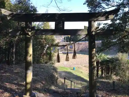 金比羅神社の鳥居