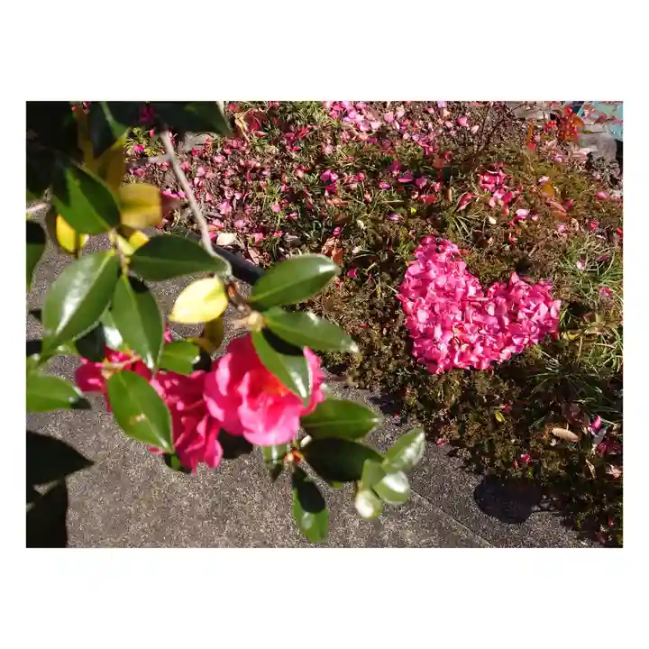 岐阜稲荷山本社(岐阜県)