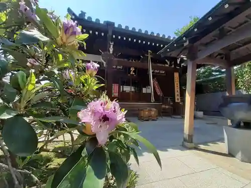 大日寺(大阪府)