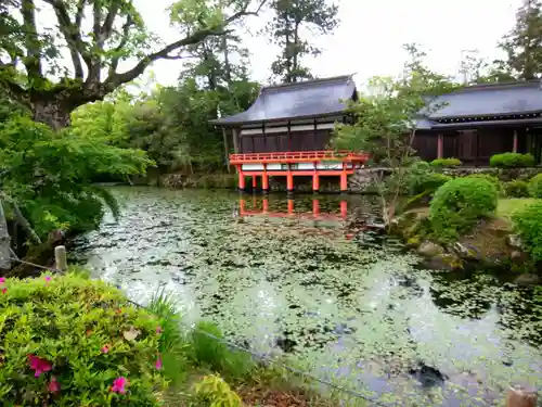 宇佐神宮の庭園