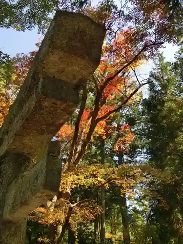 曼殊院門跡のその他建物