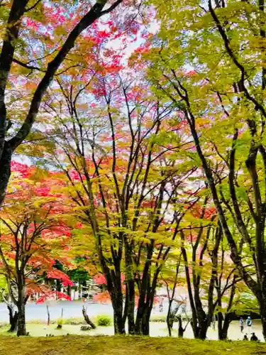 土津神社｜こどもと出世の神さまの景色