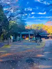 日枝神社の建物その他