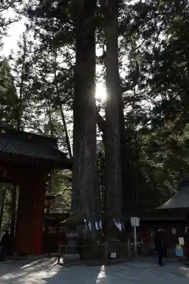 日光二荒山神社(栃木県)