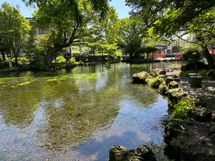 富士山本宮浅間大社(静岡県)