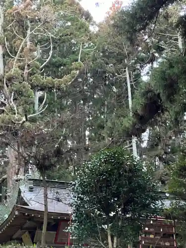 大宮温泉神社(栃木県)