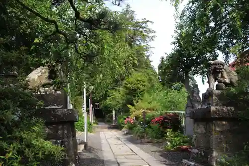 豊景神社の狛犬