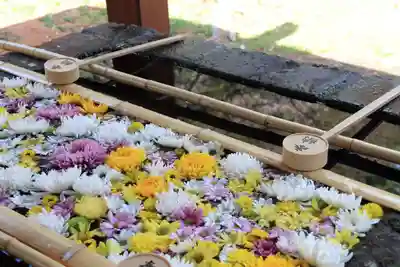 土津神社|こどもと出世の神さまの手水舎