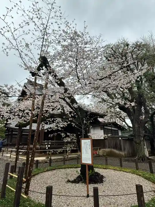 靖國神社(東京都)