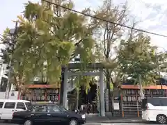 波除神社（波除稲荷神社）の自然