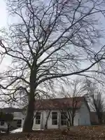 茂世丑備後神社(北海道)