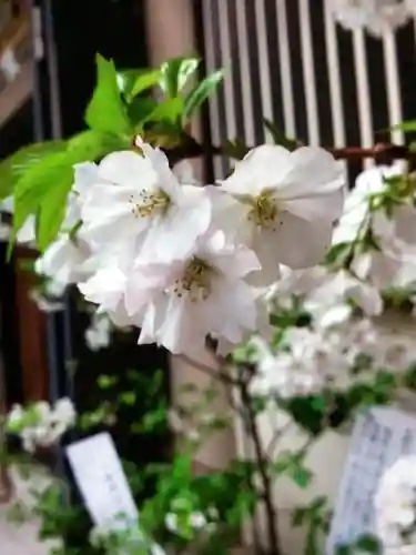 十番稲荷神社(東京都)