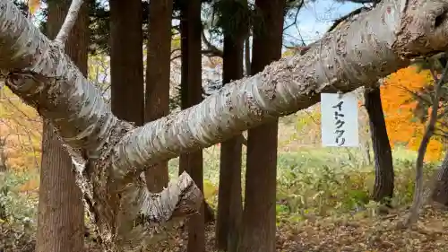 矢不来天満宮(北海道)