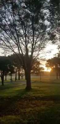 熊野神社の自然