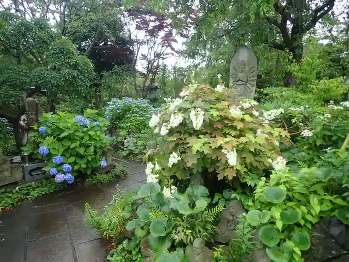 常泉寺(神奈川県)