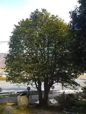 青木大師の自然