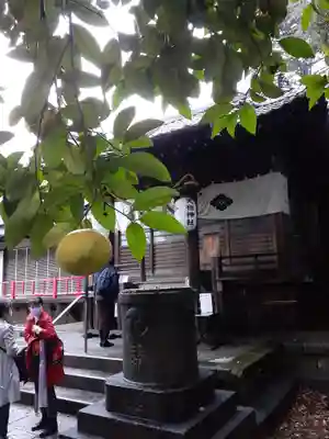 八景天祖神社のその他建物