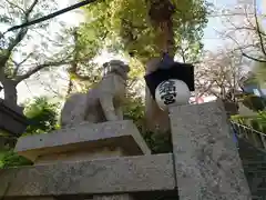 北野天満神社の狛犬