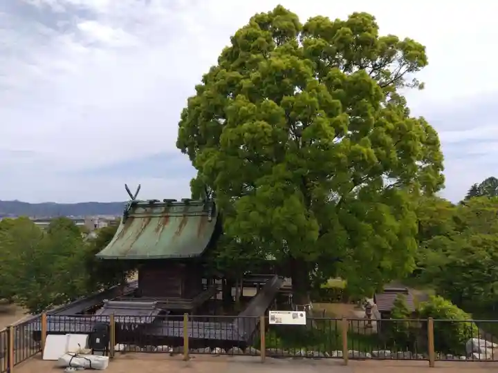 柳澤神社(奈良県)