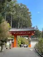 三室戸寺(京都府)