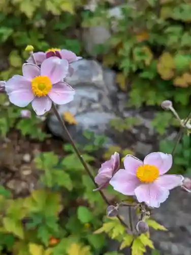 上品蓮台寺(京都府)