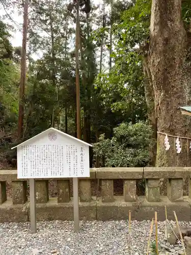 久能山東照宮の歴史