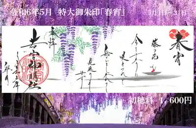 特大御朱印「春宵」です。初穂料１６００円5/1~31までです。