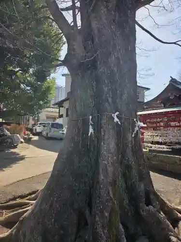 滝野川八幡神社の{uncategorized: "未分類", other: "その他", undefined: "問題あり", building: "その他建物", grave: "お墓", sacred_gate: "鳥居", guardian: "狛犬", statue: "像", buddha: "仏像", history: "歴史", nature: "自然", garden: "庭園", animal: "動物", pagoda: "塔", temizu: "手水舎", mountain_gate: "山門・神門", sanctuary: "本殿・本堂", subordinate: "末社・摂社", art: "芸術", scenery: "景色", jizo: "地蔵", ema: "絵馬", goshuin: "御朱印", omikuji: "おみくじ", items: "授与品その他", amulet: "お守り", goshuincho: "御朱印帳", eats: "食事", festival: "お祭り", votive_dance: "神楽", shichigosan: "七五三参", wedding: "結婚式", experience: "体験その他", initially: "初詣", around: "周辺", anti_infection: "感染症対策"}
