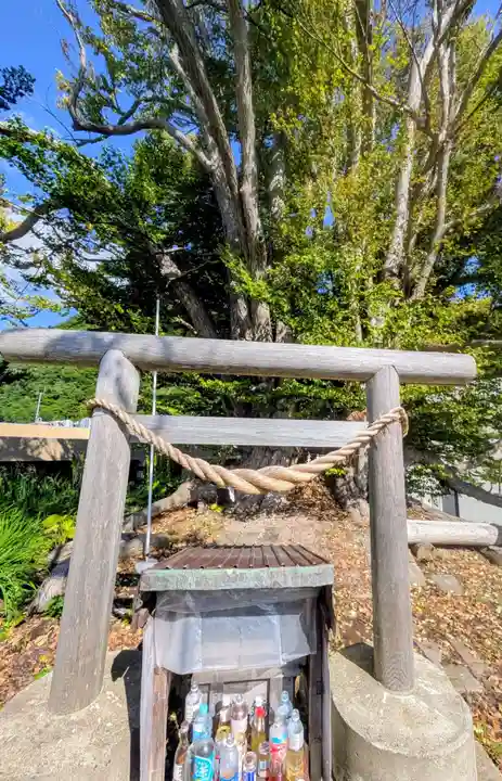 黄金龍神社(桂不動)(北海道)