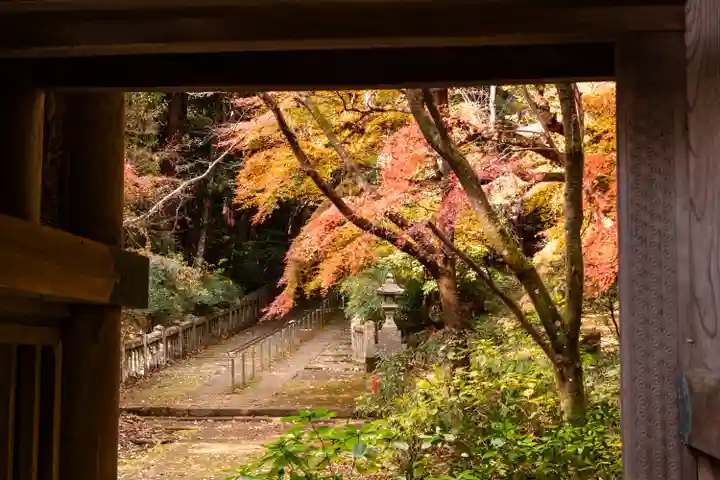 柞原八幡宮(大分県)