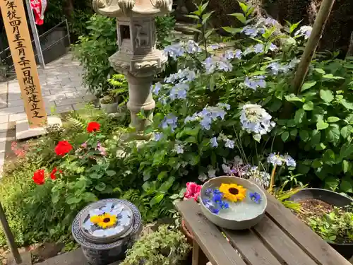 能満寺(神奈川県)