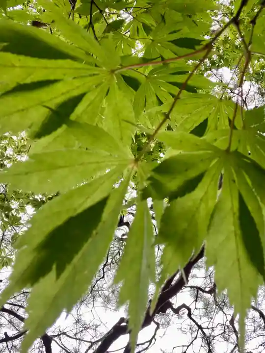桂春院(京都府)