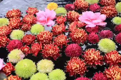 大鏑神社の手水舎