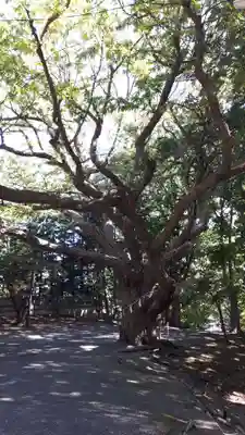 相馬神社の自然