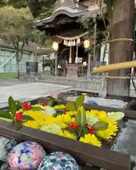 根岸八幡神社(神奈川県)