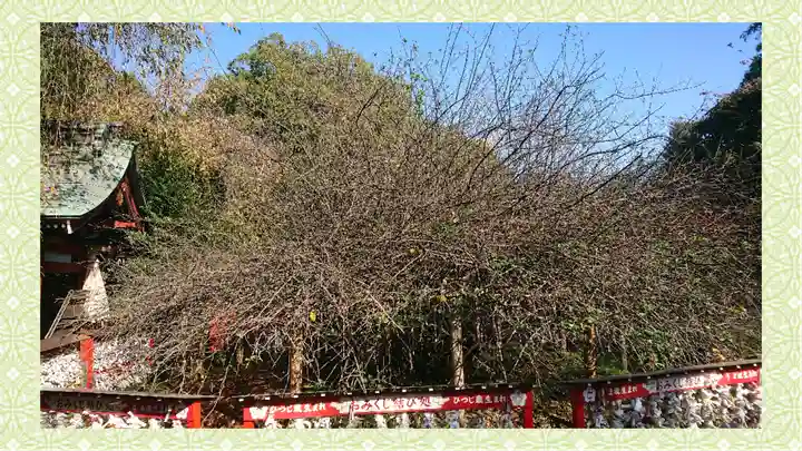 冠稲荷神社(群馬県)