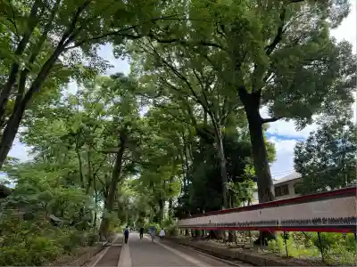 武蔵一宮氷川神社(埼玉県)