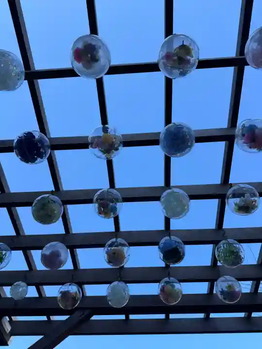 駒込妙義神社の{uncategorized: "未分類", other: "その他", undefined: "問題あり", building: "その他建物", grave: "お墓", sacred_gate: "鳥居", guardian: "狛犬", statue: "像", buddha: "仏像", history: "歴史", nature: "自然", garden: "庭園", animal: "動物", pagoda: "塔", temizu: "手水舎", mountain_gate: "山門・神門", sanctuary: "本殿・本堂", subordinate: "末社・摂社", art: "芸術", scenery: "景色", jizo: "地蔵", ema: "絵馬", goshuin: "御朱印", omikuji: "おみくじ", items: "授与品その他", amulet: "お守り", goshuincho: "御朱印帳", eats: "食事", festival: "お祭り", votive_dance: "神楽", shichigosan: "七五三参", wedding: "結婚式", experience: "体験その他", initially: "初詣", around: "周辺", anti_infection: "感染症対策"}