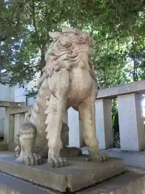 渋谷氷川神社の狛犬