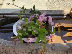 水堂須佐男神社の手水