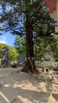 安房神社(栃木県)