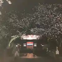 富士山本宮浅間大社(静岡県)