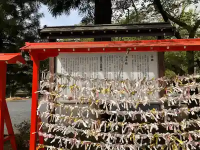 宮城縣護國神社のおみくじ