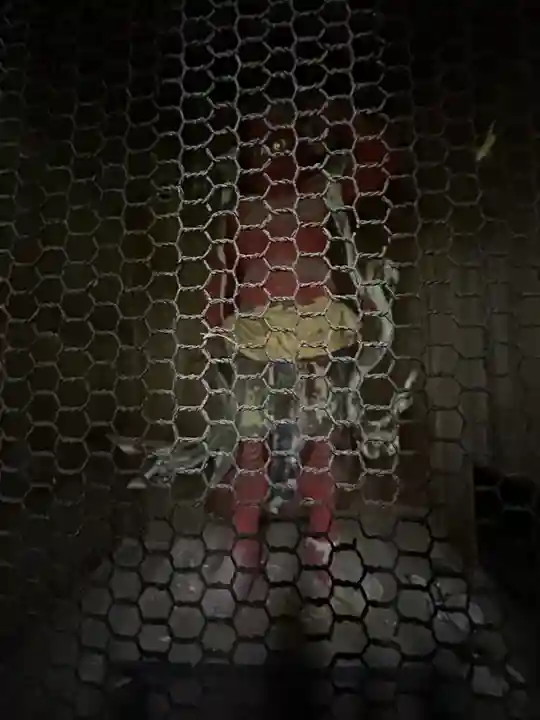 珍蔵寺 (山形県)