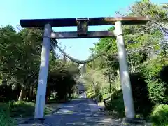 高松神社の鳥居