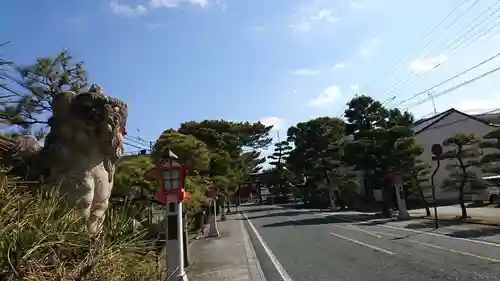 藤崎八旛宮の狛犬