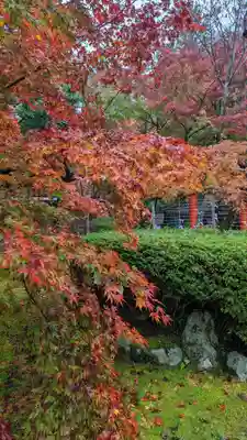 大原野神社(京都府)