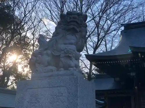 荻窪八幡神社の狛犬