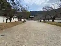 醍醐寺(京都府)